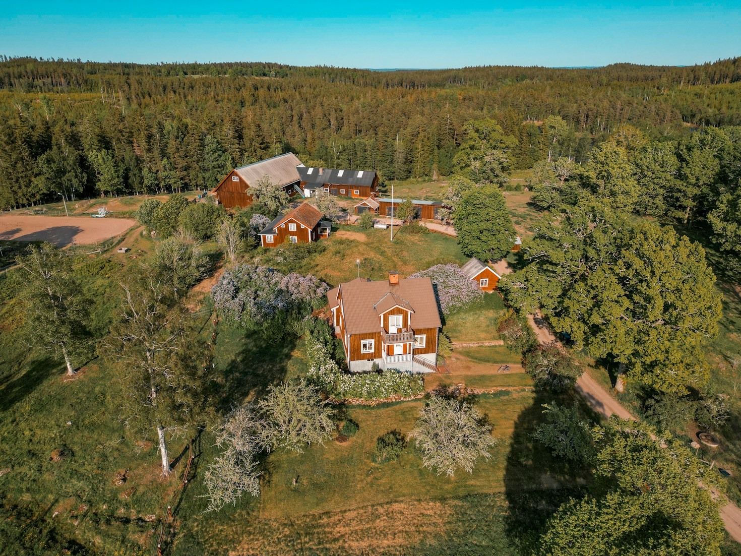 Loodusmatkad Jalase ümbruse kaunites metsades ja rabades